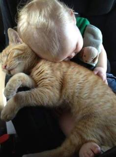 Kitten and Toddler