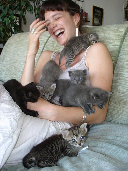 Cutemess Overload
