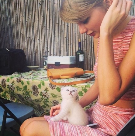 Taylor Swift's Kitten Olivia Benson