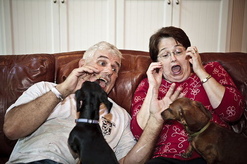 People annoyed by dogs