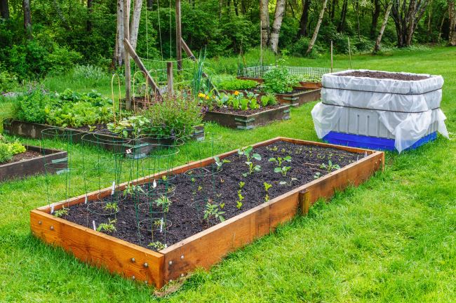Raised Garden Beds