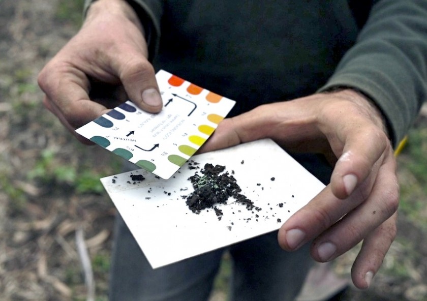 Testing Soil PH Balance