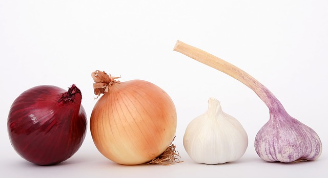 Onion Bulbs